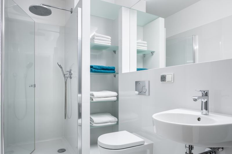 Contemporary Shower Features
